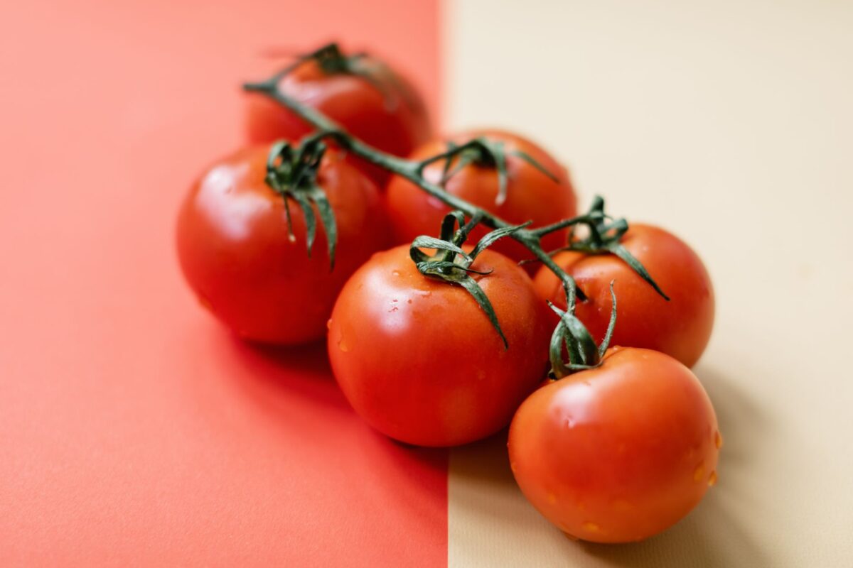 tomates trop mûres qu rapproche vraiment