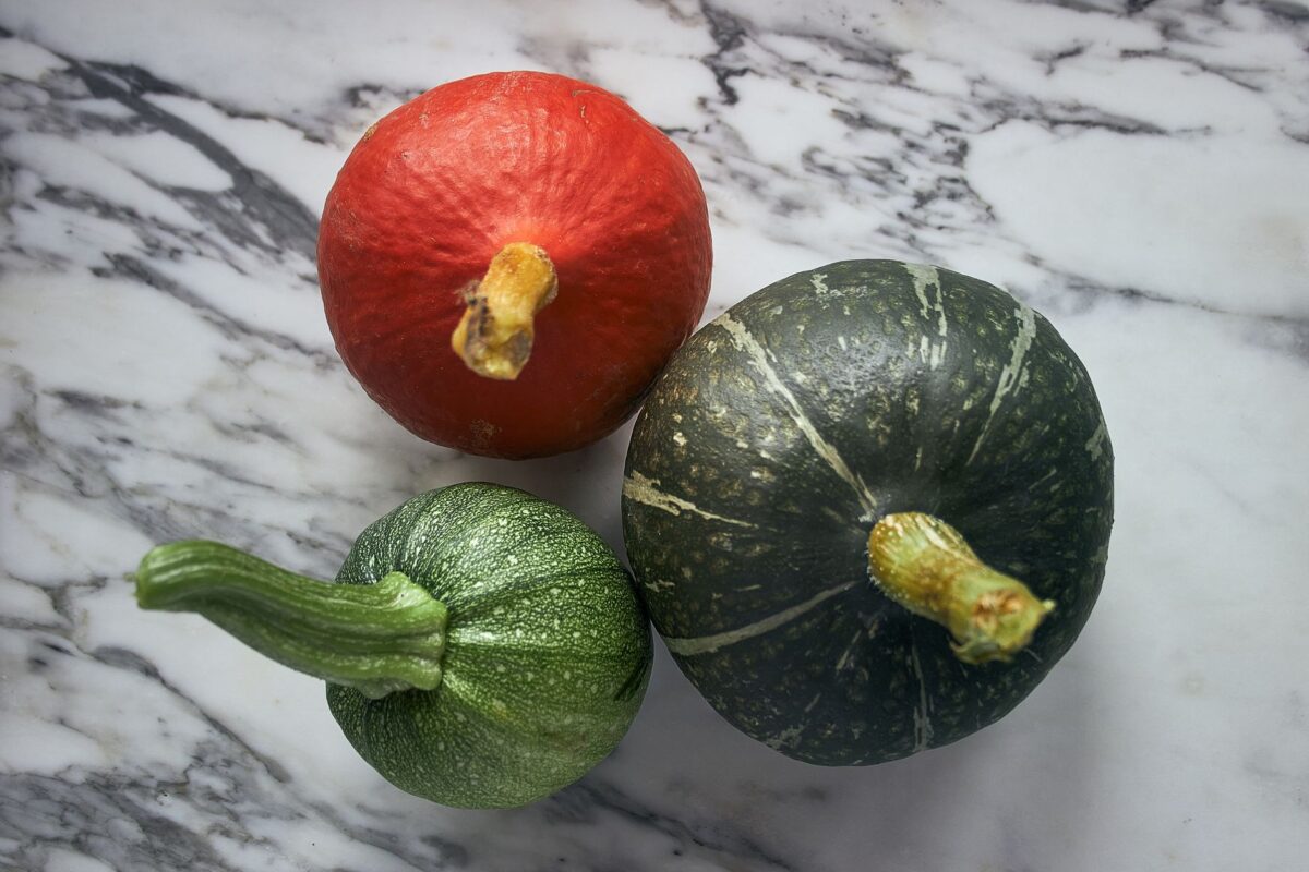 parmentier poulet courgette ingrédients donnent bonne